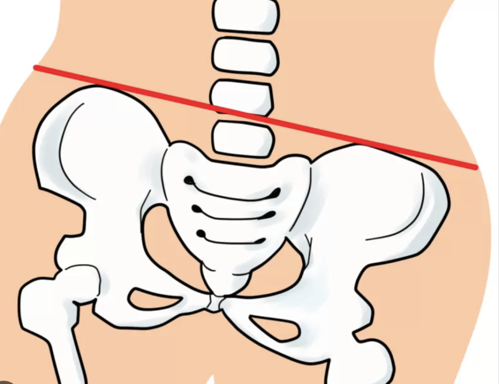 【注目！】産後不調は自律神経！？骨盤と回復力の深い関係とは…！